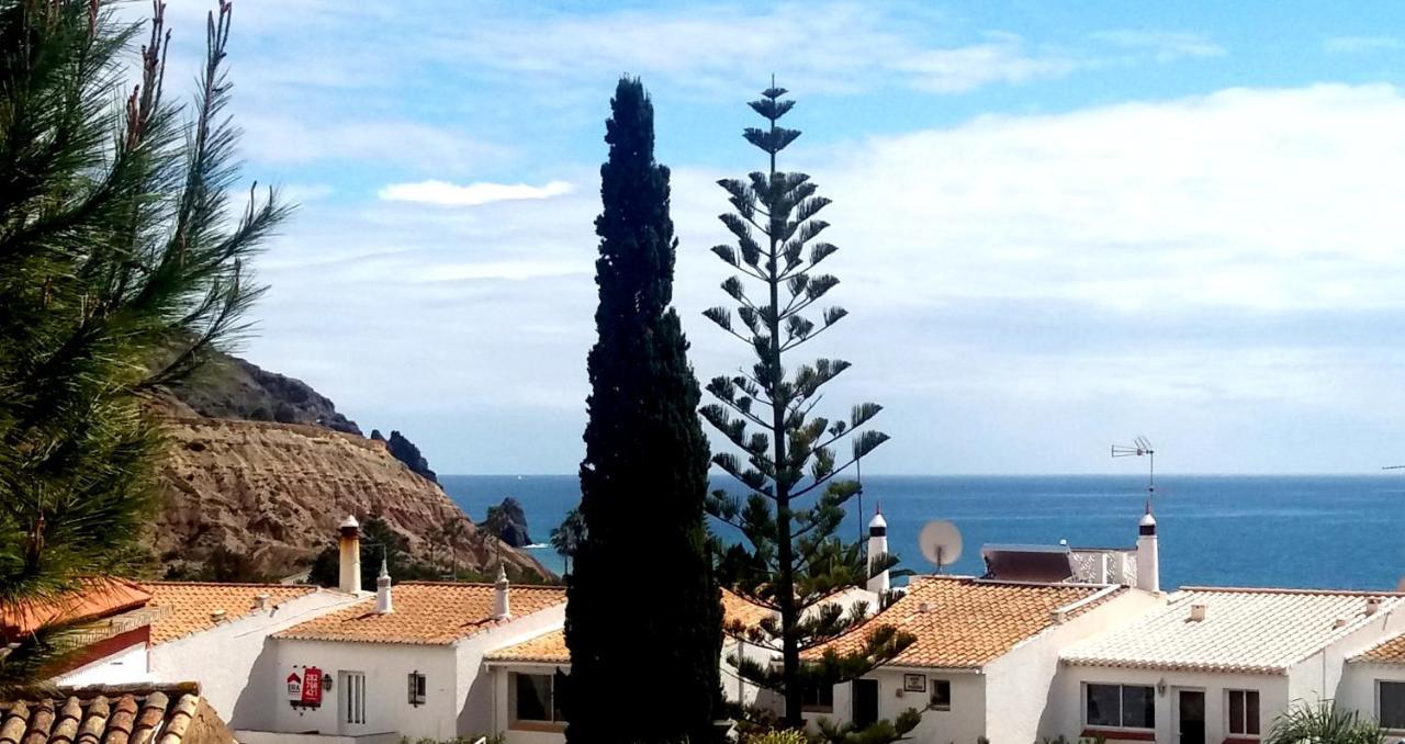 Queen Palm Praia Da Luz Bagian luar foto